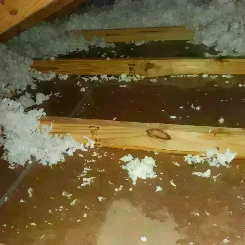 Attic Water Damage in Runnels County, TX